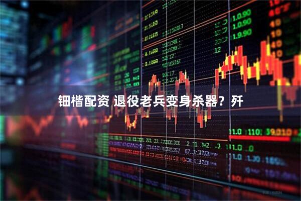 钿楷配资 退役老兵变身杀器？歼